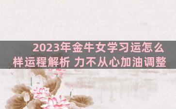 2023年金牛女学习运怎么样运程解析 力不从心加油调整